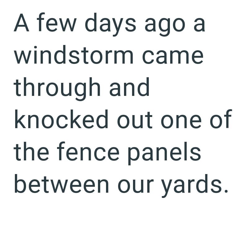 A few days ago a windstorm came through and knocked out one of the fence panels between our yards.