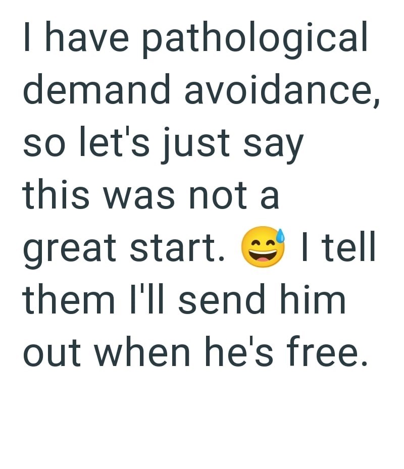 I have pathological demand avoidance, so let's just say this was not a great start. I tell them I'll send him out when he's free.