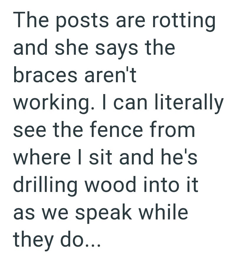 The posts are rotting and she says the braces aren't working. I can literally see the fence from where I sit and he's drilling wood into it. as we speak while they do...