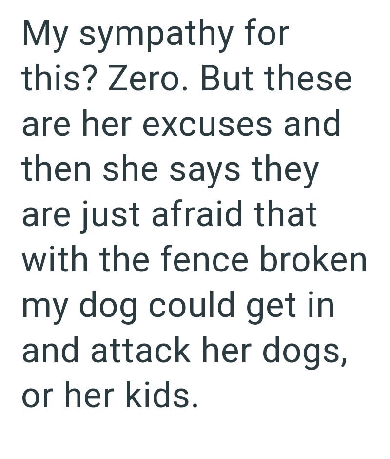 My sympathy for this? Zero. But these are her excuses and then she says they are just afraid that with the fence broken my dog could get in and attack her dogs, or her kids.