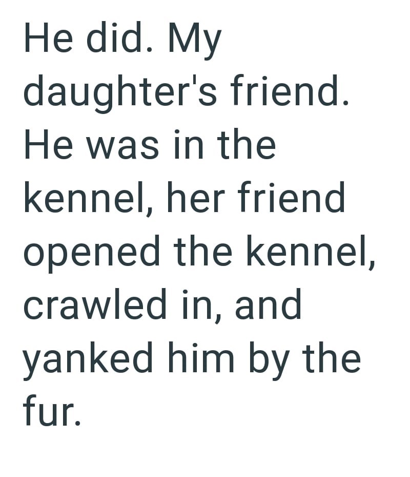 He did. My daughter's friend. He was in the kennel, her friend opened the kennel, crawled in, and yanked him by the fur.