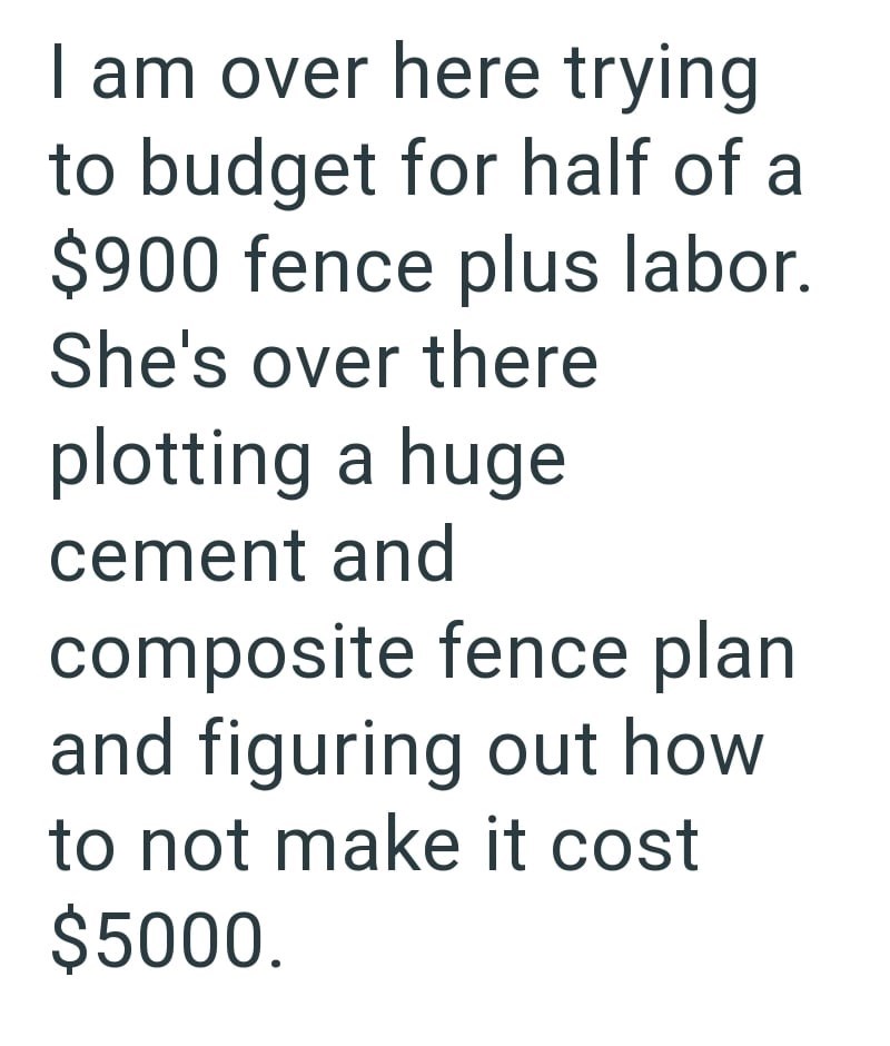 I am over here trying to budget for half of a $900 fence plus labor. She's over there plotting a huge cement and composite fence plan and figuring out how to not make it cost $5000.
