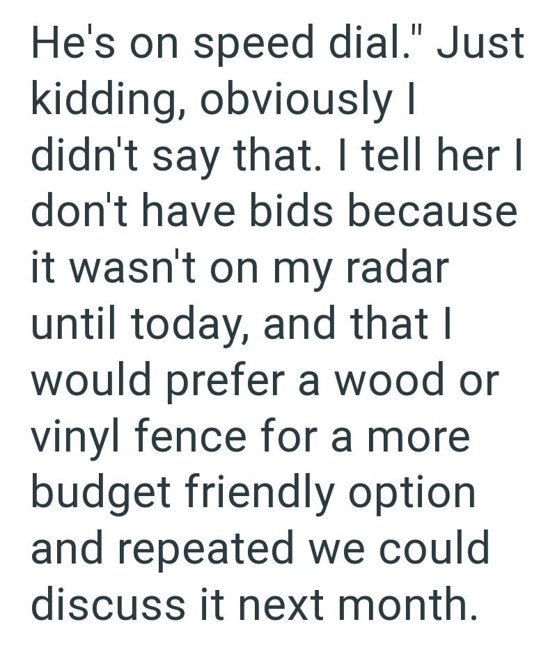 He's on speed dial." Just kidding, obviously I didn't say that. I tell her I don't have bids because it wasn't on my radar until today, and that I would prefer a wood or vinyl fence for a more budget friendly option and repeated we could discuss it next month.