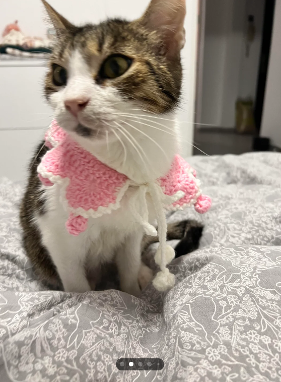 Cheezburger Image 10613485824