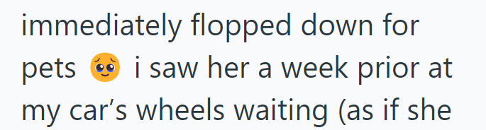 immediately flopped down for pets i saw her a week prior at my car's wheels waiting (as if she