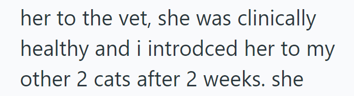 her to the vet, she was clinically healthy and i introdced her to my other 2 cats after 2 weeks. she