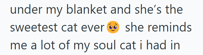 under my blanket and she's the sweetest cat ever she reminds me a lot of my soul cat i had in