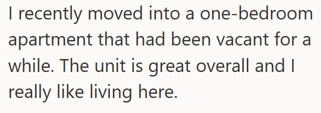 I recently moved into a one-bedroom apartment that had been vacant for a while. The unit is great overall and I really like living here.