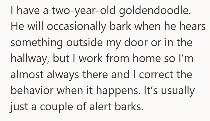 I have a two-year-old goldendoodle. He will occasionally bark when he hears something outside my door or in the hallway, but I work from home so I'm almost always there and I correct the behavior when it happens. It's usually just a couple of alert barks.