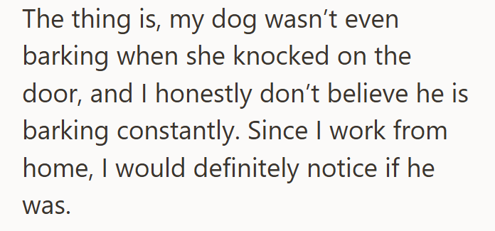 The thing is, my dog wasn't even barking when she knocked on the door, and I honestly don't believe he is barking constantly. Since I work from home, I would definitely notice if he was.