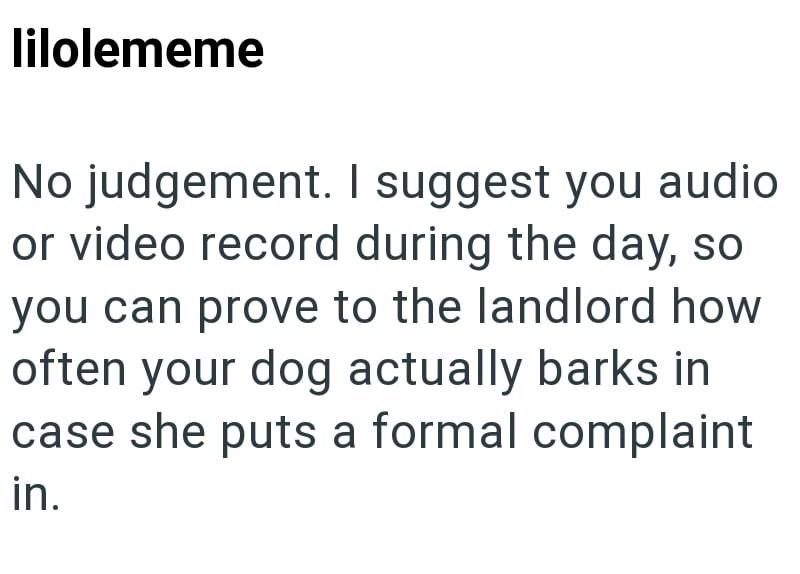lilolememe No judgement. I suggest you audio or video record during the day, so you can prove to the landlord how often your dog actually barks in case she puts a formal complaint in.