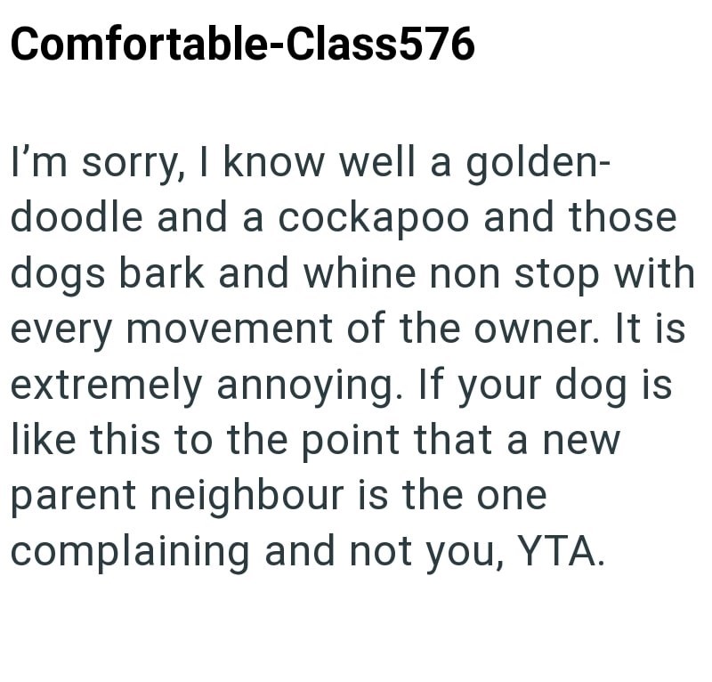 Comfortable-Class576 I'm sorry, I know well a golden- doodle and a cockapoo and those dogs bark and whine non stop with every movement of the owner. It is extremely annoying. If your dog is like this to the point that a new parent neighbour is the one complaining and not you, YTA.