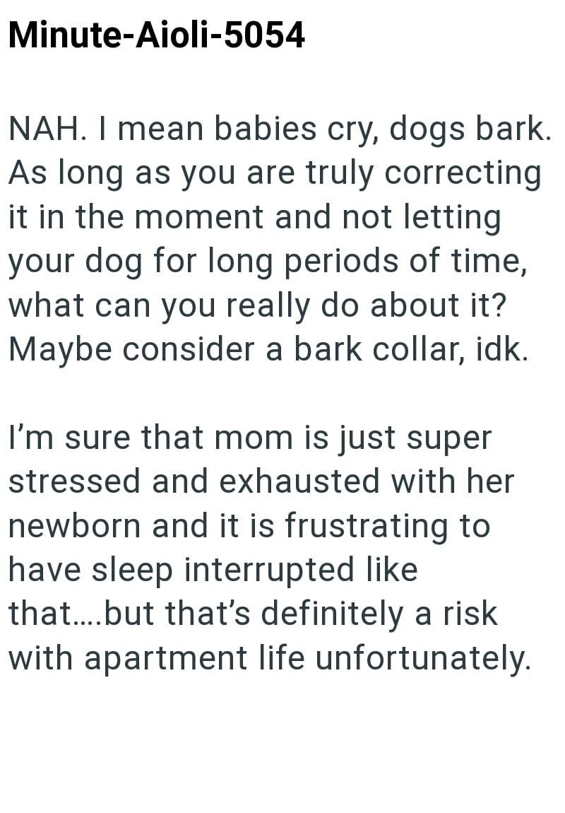 Minute-Aioli-5054 NAH. I mean babies cry, dogs bark. As long as you are truly correcting it in the moment and not letting your dog for long periods of time, what can you really do about it? Maybe consider a bark collar, idk. I'm sure that mom is just super stressed and exhausted with her newborn and it is frustrating to have sleep interrupted like that....but that's definitely a risk with apartment life unfortunately.