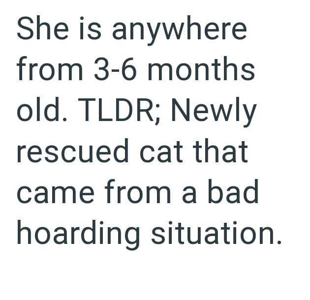 She is anywhere from 3-6 months old. TLDR; Newly rescued cat that came from a bad hoarding situation.