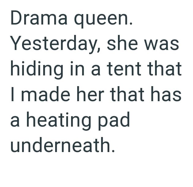 Drama queen. Yesterday, she was hiding in a tent that I made her that has a heating pad underneath.