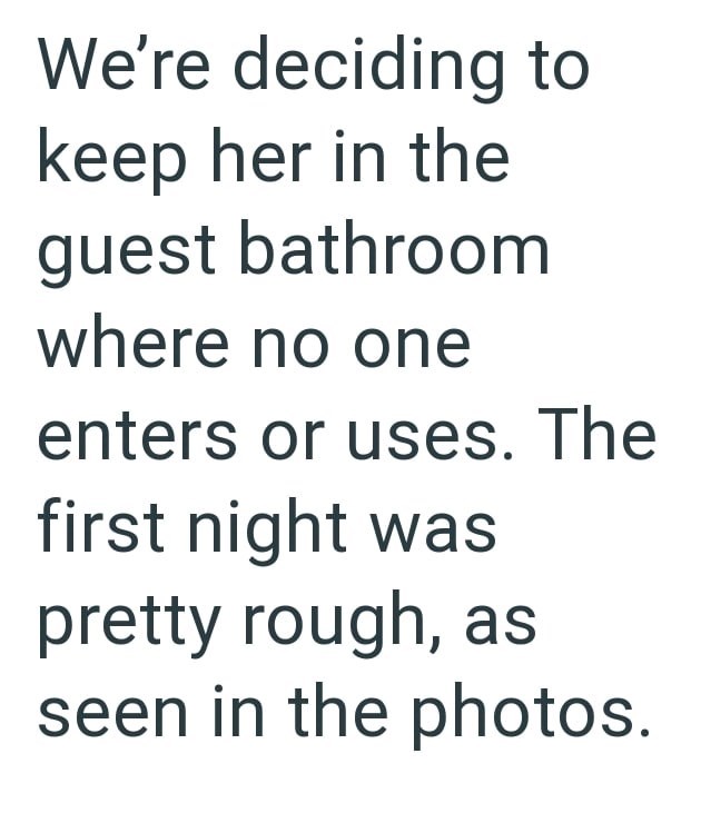 We're deciding to keep her in the guest bathroom where no one enters or uses. The first night was pretty rough, as seen in the photos.