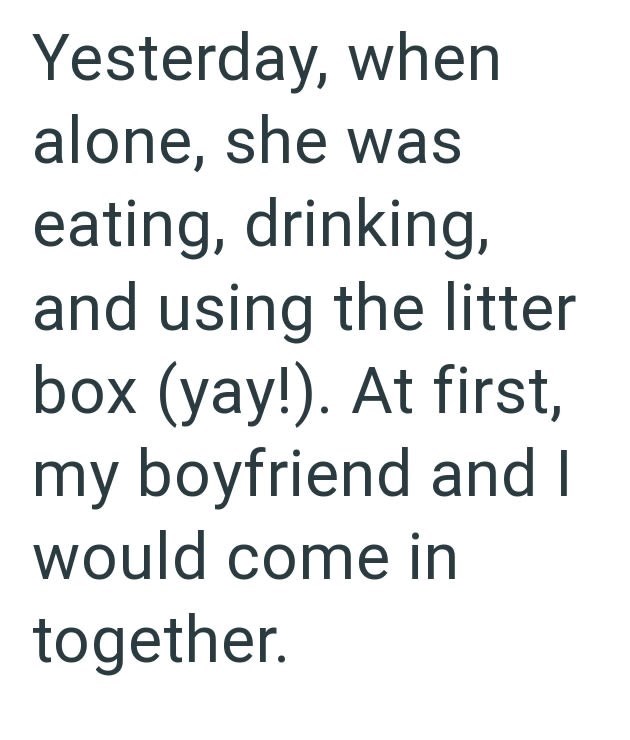 Yesterday, when alone, she was eating, drinking, and using the litter box (yay!). At first, my boyfriend and I would come in together.