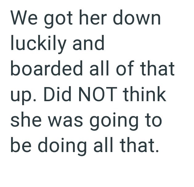 We got her down luckily and boarded all of that up. Did NOT think she was going to be doing all that.