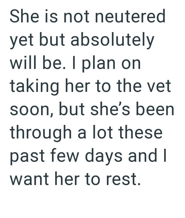 She is not neutered yet but absolutely will be. I plan on taking her to the vet soon, but she's been through a lot these past few days and I want her to rest.
