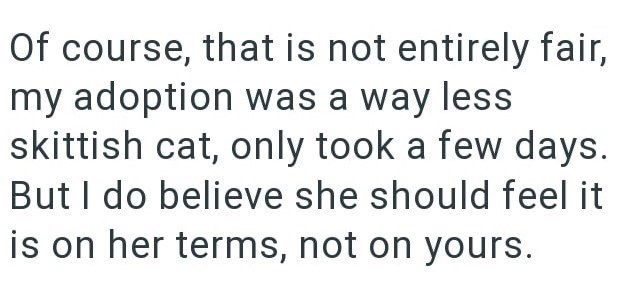 Of course, that is not entirely fair, my adoption was a way less skittish cat, only took a few days. But I do believe she should feel it is on her terms, not on yours.
