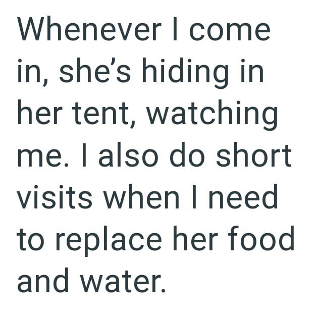 Whenever I come in, she's hiding in her tent, watching me. I also do short visits when I need to replace her food and water.