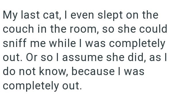 My last cat, I even slept on the couch in the room, so she could sniff me while I was completely out. Or so I assume she did, as I do not know, because I was completely out.