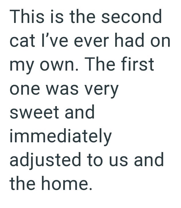 This is the second cat I've ever had on my own. The first one was very sweet and immediately adjusted to us and the home.