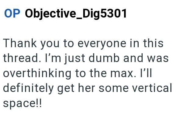 OP Objective_Dig5301 Thank you to everyone in this thread. I'm just dumb and was overthinking to the max. I'll definitely get her some vertical space!!