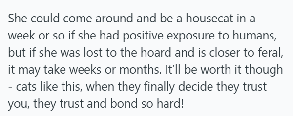 She could come around and be a housecat in a week or so if she had positive exposure to humans, but if she was lost to the hoard and is closer to feral, it may take weeks or months. It'll be worth it though - cats like this, when they finally decide they trust you, they trust and bond so hard!