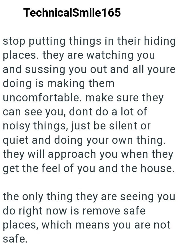 TechnicalSmile165 stop putting things in their hiding places. they are watching you and sussing you out and all youre doing is making them uncomfortable. make sure they can see you, dont do a lot of noisy things, just be silent or quiet and doing your own thing. they will approach you when they get the feel of you and the house. the only thing they are seeing you do right now is remove safe places, which means you are not safe.