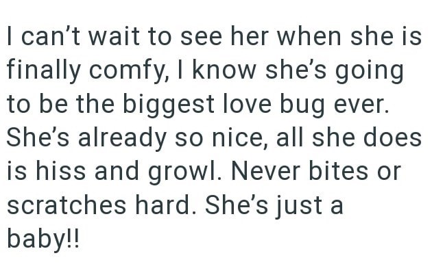 I can't wait to see her when she is finally comfy, I know she's going to be the biggest love bug ever. She's already so nice, all she does is hiss and growl. Never bites or scratches hard. She's just a baby!!