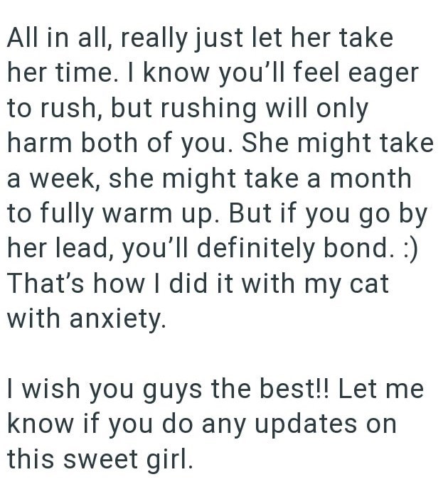 All in all, really just let her take her time. I know you'll feel eager to rush, but rushing will only harm both of you. She might take a week, she might take a month to fully warm up. But if you go by her lead, you'll definitely bond. :) That's how I did it with my cat with anxiety. I wish you guys the best!! Let me know if you do any updates on this sweet girl.