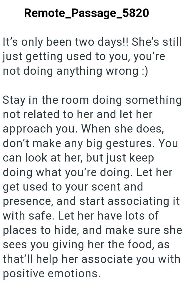 Remote_Passage_5820 It's only been two days!! She's still just getting used to you, you're not doing anything wrong :) Stay in the room doing something not related to her and let her approach you. When she does, don't make any big gestures. You can look at her, but just keep doing what you're doing. Let her get used to your scent and presence, and start associating it with safe. Let her have lots of places to hide, and make sure she sees you giving her the food, as that'll help her associate you