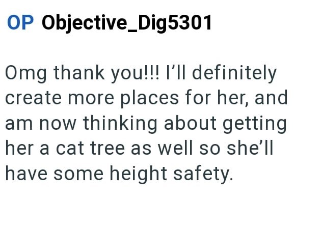 OP Objective_Dig5301 Omg thank you!!! I'll definitely create more places for her, and am now thinking about getting her a cat tree as well so she'll have some height safety.