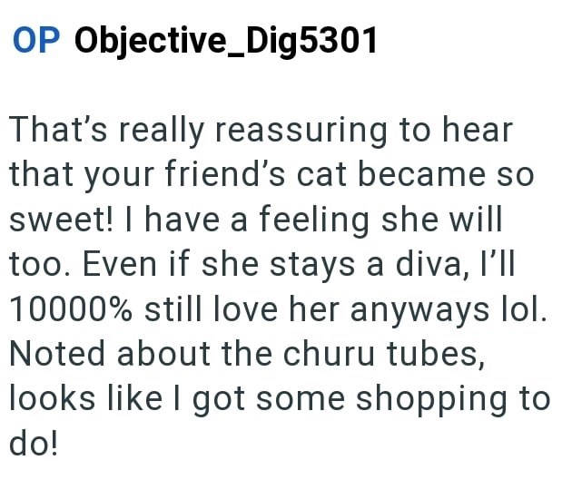 OP Objective_Dig5301 That's really reassuring to hear that your friend's cat became so sweet! I have a feeling she will too. Even if she stays a diva, I'll 10000% still love her anyways lol. Noted about the churu tubes, looks like I got some shopping to do!