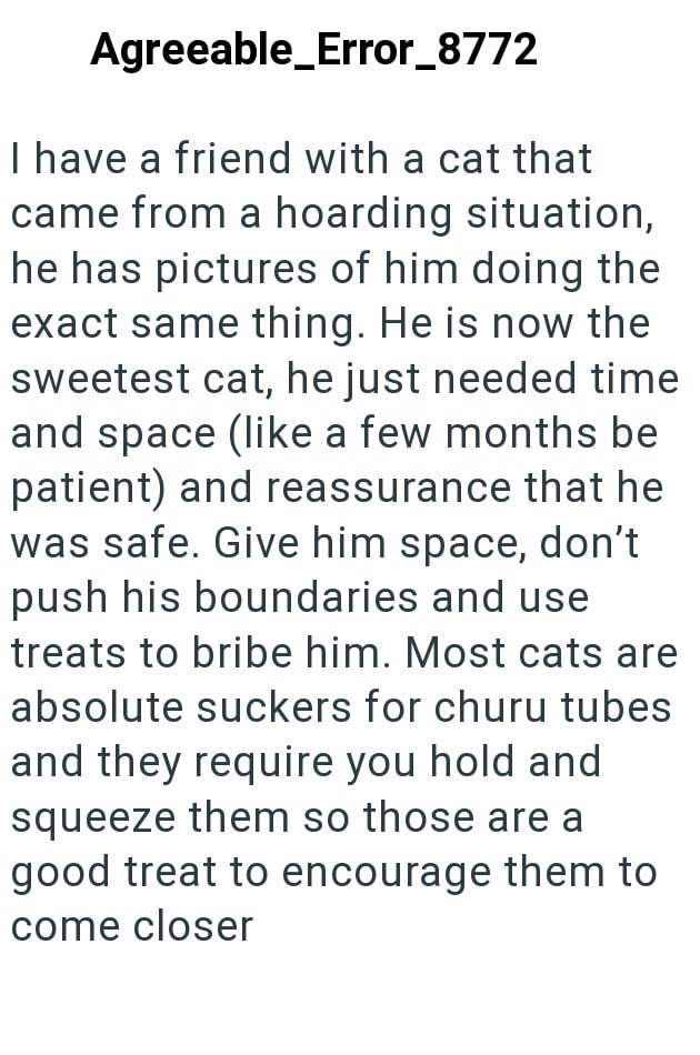 Agreeable_Error_8772 I have a friend with a cat that came from a hoarding situation, he has pictures of him doing the exact same thing. He is now the sweetest cat, he just needed time and space (like a few months be patient) and reassurance that he was safe. Give him space, don't push his boundaries and use treats to bribe him. Most cats are absolute suckers for churu tubes and they require you hold and squeeze them so those are a good treat to encourage them to come closer