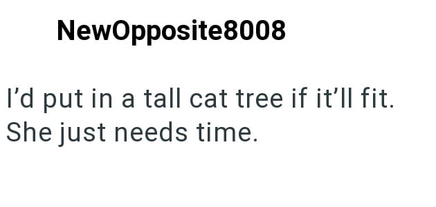 NewOpposite8008 I'd put in a tall cat tree if it'll fit. She just needs time.