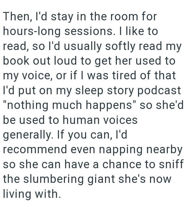 Then, I'd stay in the room for hours-long sessions. I like to read, so I'd usually softly read my book out loud to get her used to my voice, or if I was tired of that I'd put on my sleep story podcast "nothing much happens" so she'd be used to human voices generally. If you can, I'd recommend even napping nearby so she can have a chance to sniff the slumbering giant she's now living with.