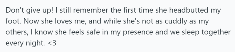 Don't give up! I still remember the first time she headbutted my foot. Now she loves me, and while she's not as cuddly as my others, I know she feels safe in my presence and we sleep together every night. <3