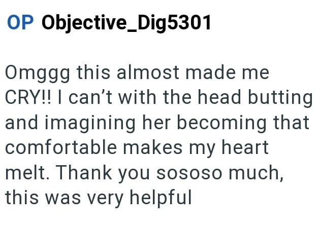 OP Objective_Dig5301 Omggg this almost made me CRY!! I can't with the head butting and imagining her becoming that comfortable makes my heart melt. Thank you sososo much, this was very helpful