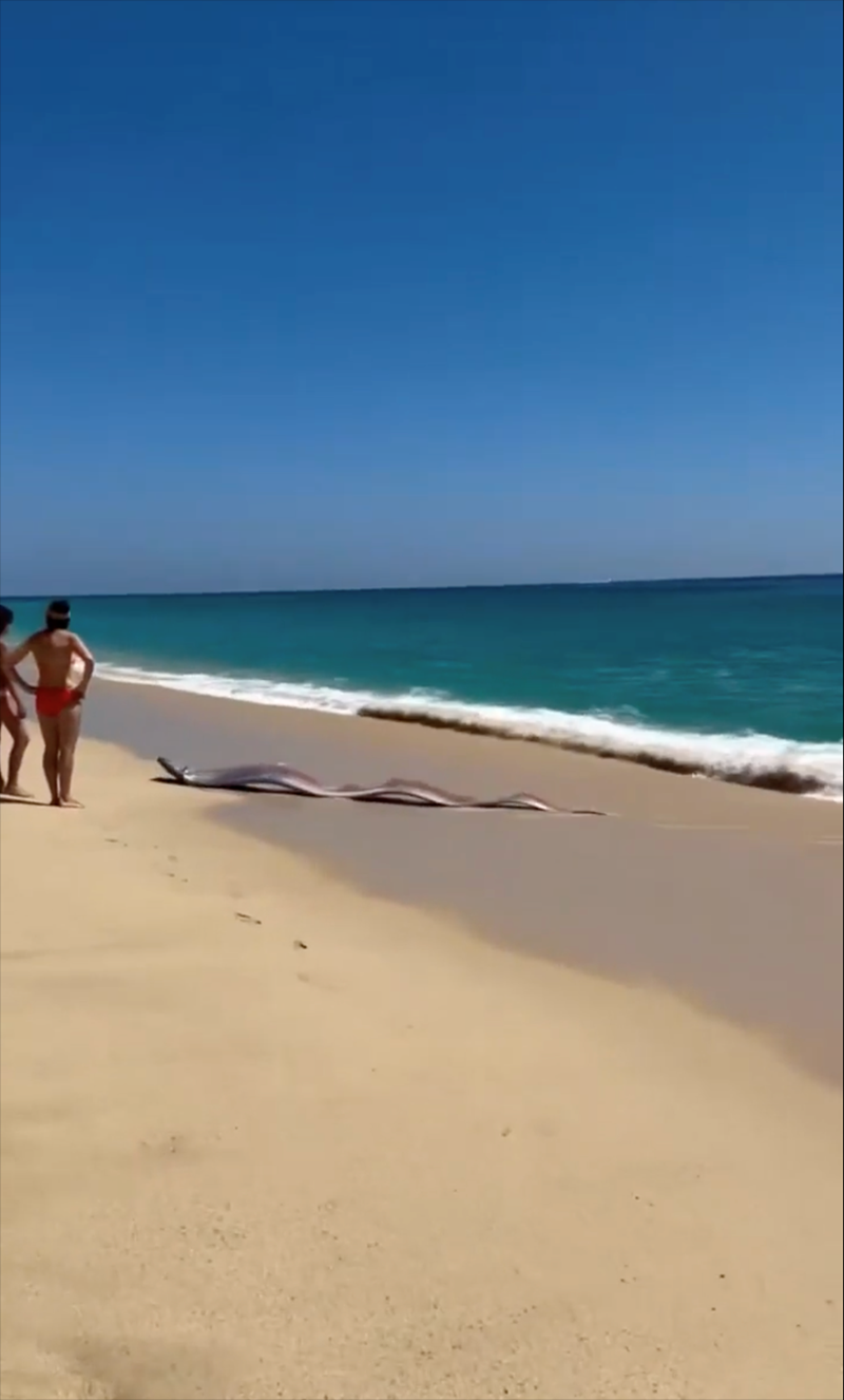 Cheezburger Image 10613509632