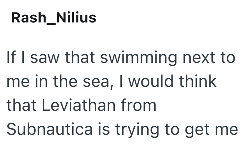 Rash_Nilius If I saw that swimming next to me in the sea, I would think that Leviathan from Subnautica is trying to get me