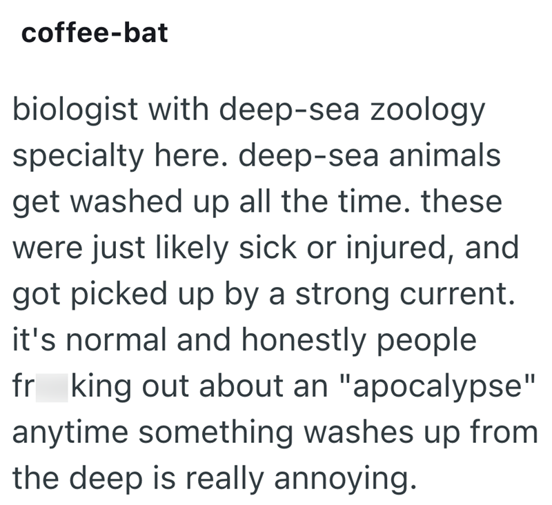 coffee-bat biologist with deep-sea zoology specialty here. deep-sea animals get washed up all the time. these were just likely sick or injured, and got picked up by a strong current. it's normal and honestly people fr king out about an "apocalypse" anytime something washes up from the deep is really annoying.