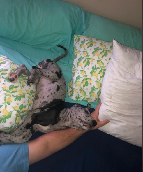 Cheezburger Image 10613517312