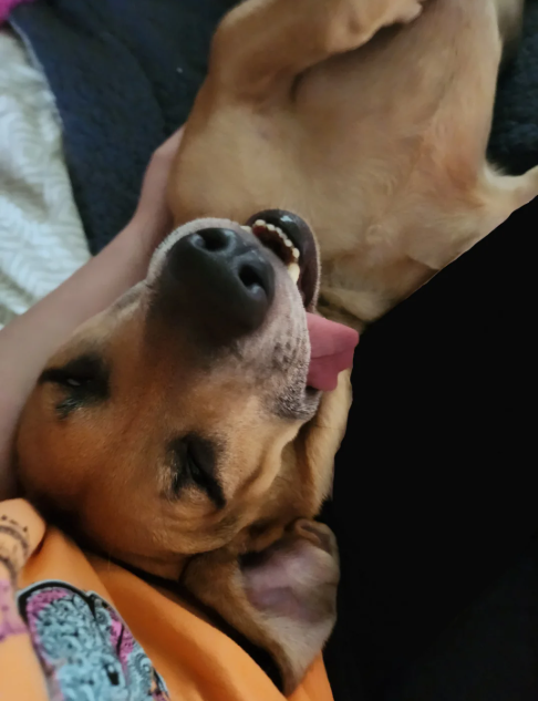 Cheezburger Image 10613518848