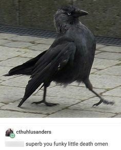 cthuhlusanders superb you funky little death omen