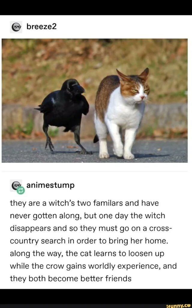 breeze2 animestump they are a witch's two familars and have never gotten along, but one day the witch disappears and so they must go on a cross- country search in order to bring her home. along the way, the cat learns to loosen up while the crow gains worldly experience, and they both become better friends ifunny.co