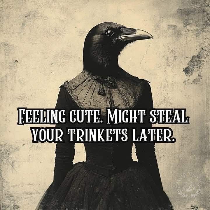 FEELING CUTE. MIGHT STEAL YOUR TRINKETS LATER. 1