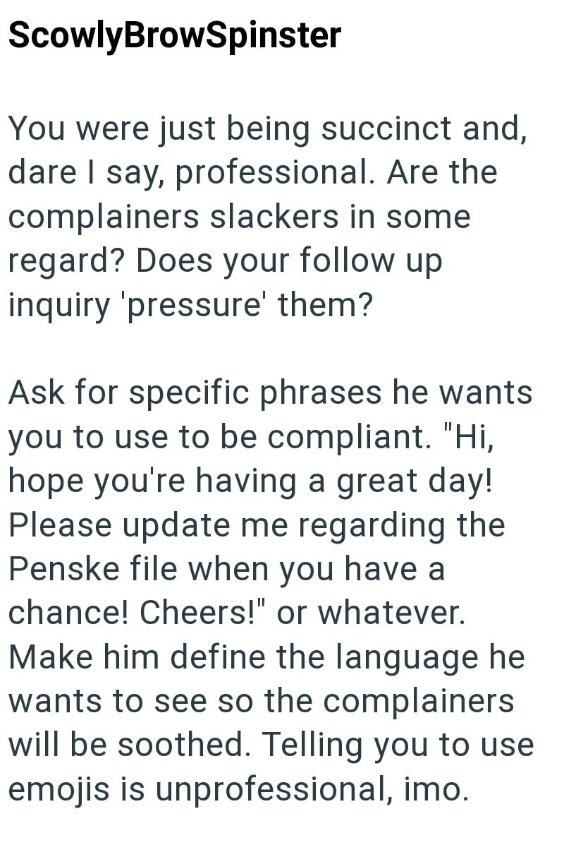 ScowlyBrowSpinster You were just being succinct and, dare I say, professional. Are the complainers slackers in some regard? Does your follow up inquiry 'pressure' them? Ask for specific phrases he wants you to use to be compliant. "Hi, hope you're having a great day! Please update me regarding the Penske file when you have a chance! Cheers!" or whatever. Make him define the language he wants to see so the complainers will be soothed. Telling you to use emojis is unprofessional, imo.