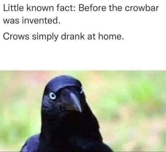 Little known fact: Before the crowbar was invented. Crows simply drank at home.